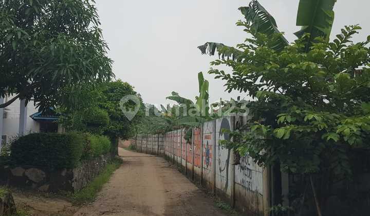 Dijual Tanah Kebun Berbentuk Kotak Cisauk Tangerang