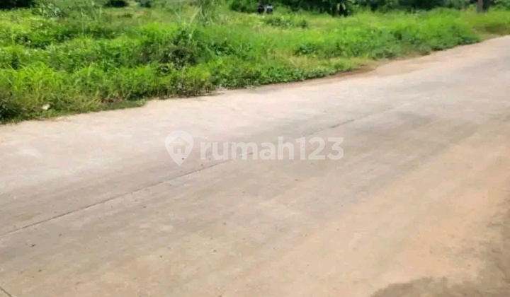 Promo Bombastis Kavling Murah bisa Dicicil di Ngaliyan 1