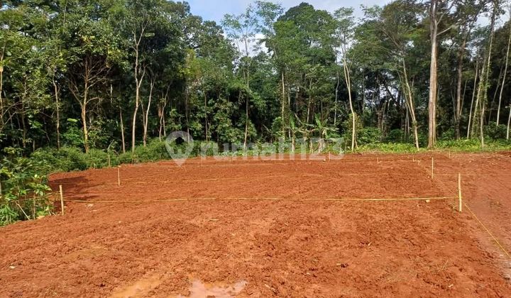 Promo Cheap Plots Near SMP 22 in Gunungpati 1