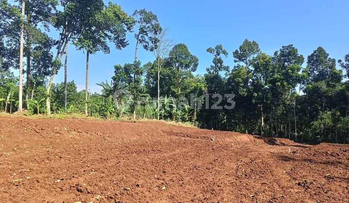 Valentine's Day Promo for Affordable Plots with SHM in Pakintelan 2
