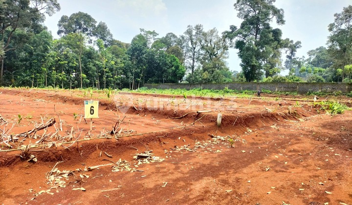 Promo Kavling Murah Bisa Dicicil Deket Kebun Cepoko di Gunungpati