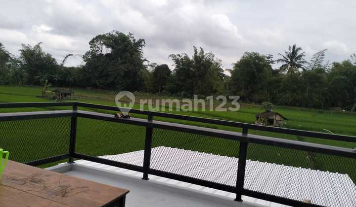Cheap Land with Cafe Bonus, Ideal for Investment in Gunungpati 2
