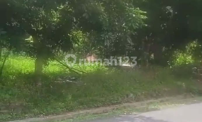 Tanah Murah Nempel Jalan Cocok untuk Investasi di Gunungpati 1
