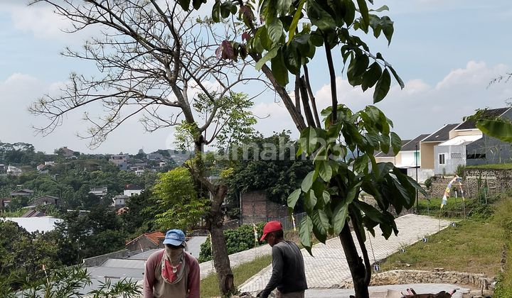 Promo Tahun Baru Kavling Murah SHM di Mangunharjo 2