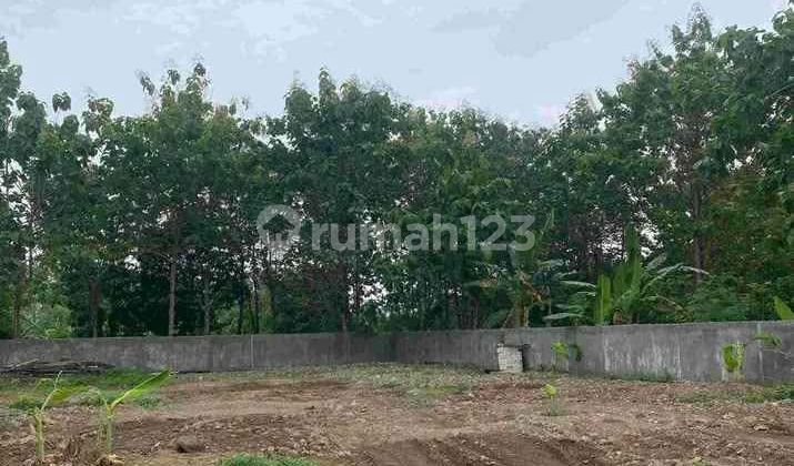 Tanah Murah Cocok Untuk Investasi di Meteseh Tembalang