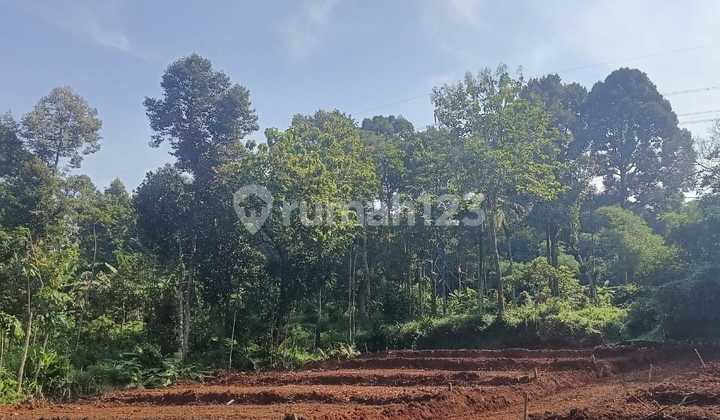 Promo Kavling Murah Deket Bumi Perkemahan di Jatirejo Gunungpati