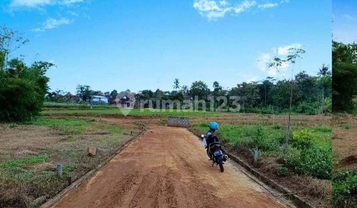Tanah Murah View Sawah Deket Terminal di Gunungpati 1