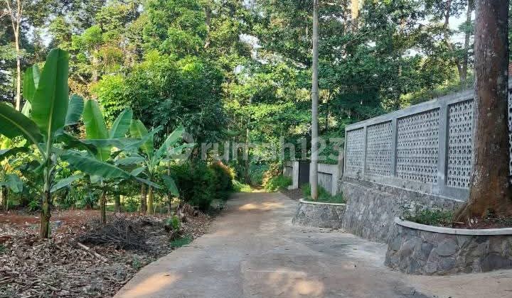 Kebun Durian Produktif Murah Cocok untuk Investasi di Gunungpati 2