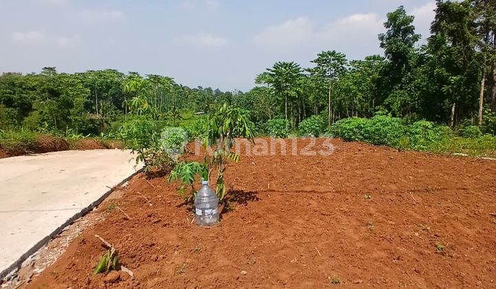 Tanah Kavling Murah Super Murah Bisa Dicicil Belakang Terminal di Gunungpati 1