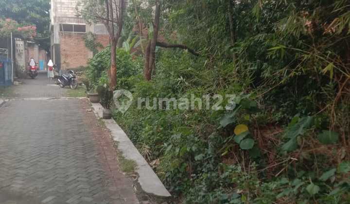 Tanah Murah Cocok Untuk Investasi di Sendangguwo Tembalang 1