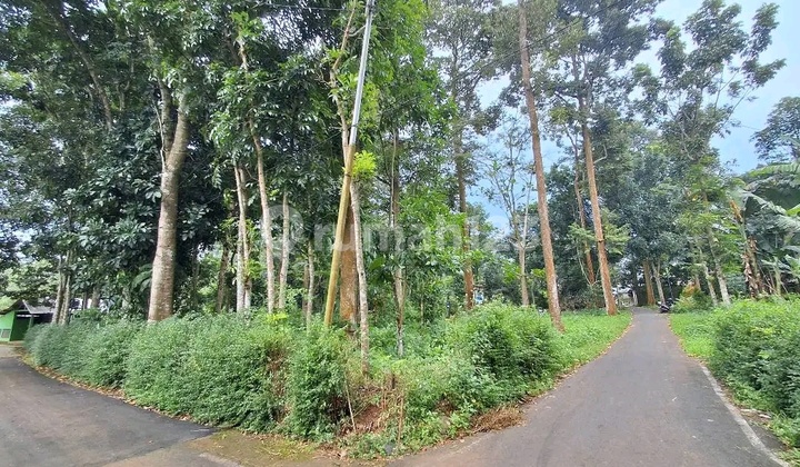 Tanah Kavling Murah SHM Ready Deket Sabhara di Mijen 2