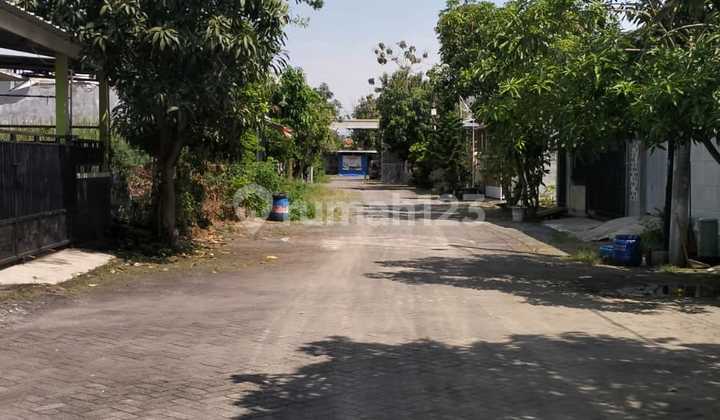 Tanah Kavling Murah Deket Fatro Residence di Tlogomulyo 1