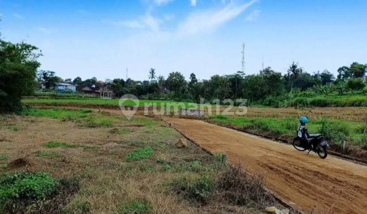 Tanah Murah View Sawah Deket Terminal di Gunungpati 2