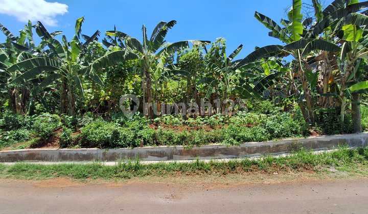 Tanah Murah Cocok untuk Investasi di Gebyog Patemon 1