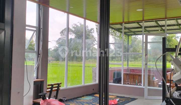 Cheap Land with Cafe Bonus, Ideal for Investment in Gunungpati 1