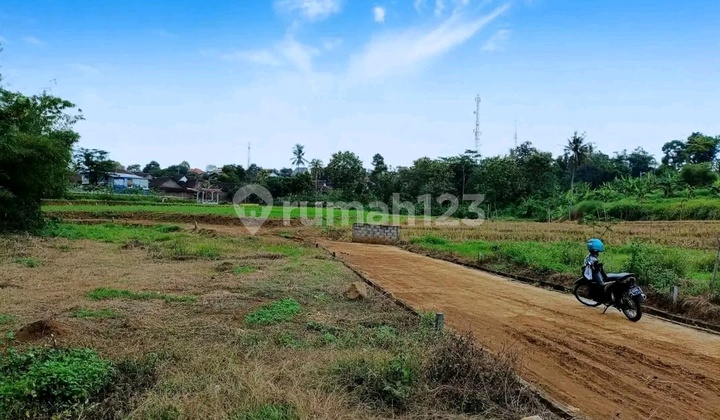 Tanah Murah Cocok untuk Investasi View Sawah di Gunungpati 2