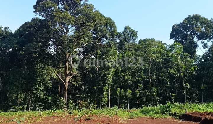 New Year Promotion Affordable and Available on Credit in Kandri Gunungpati 2