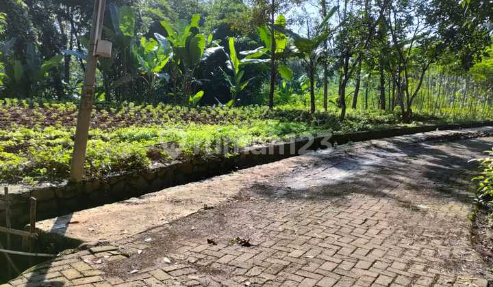 Tanah Murah Cocok untuk Investasi di Kalisegoro Gunungpati 2