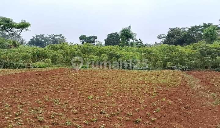 Tanah Kebun Murah Cocok untuk Investasi di Pongangan Gunungpati 1