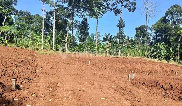 Kavling Termurah Siap Bangun Deket Stie di Gunungpati 2
