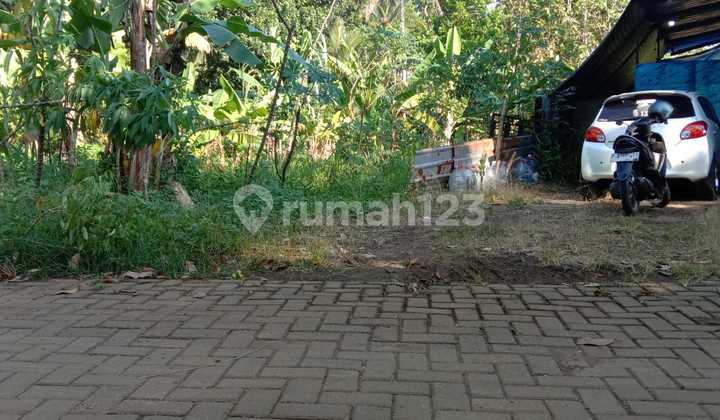 Tanah Kavling Murah Free Biaya di Pakintelan Tanah Kavling Murah Free Biaya di Pakintelan