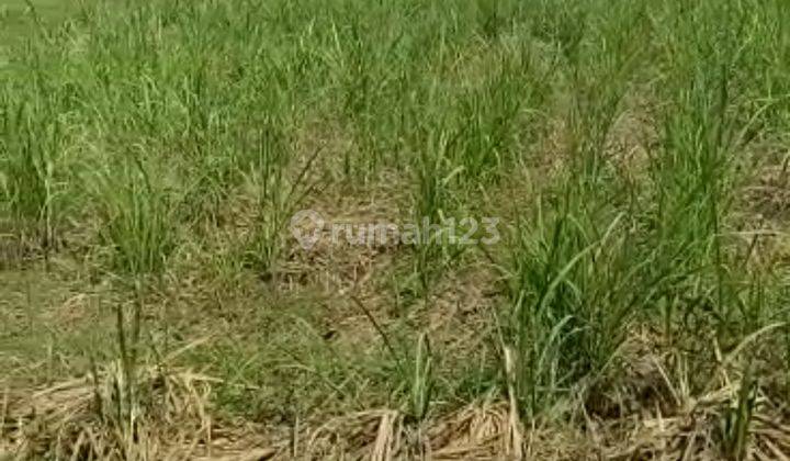 Di Jual Cepat Tanah Siap Bangun 1