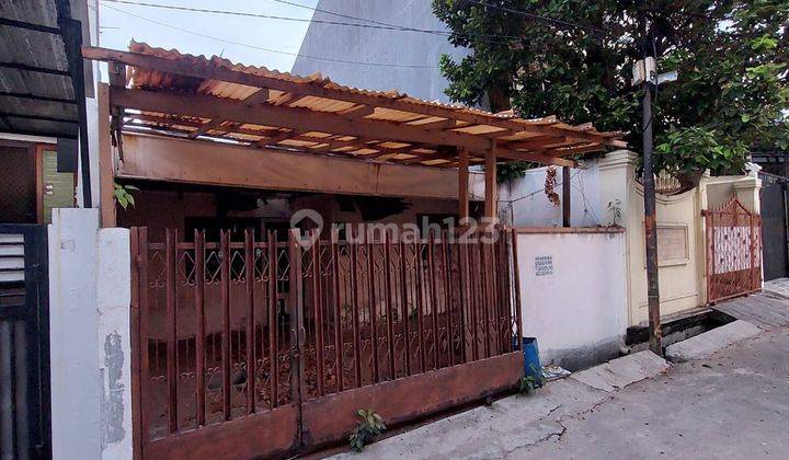 Jual Rumah Tua Pluit Hitung Tanah Saja Murah Meriah 1