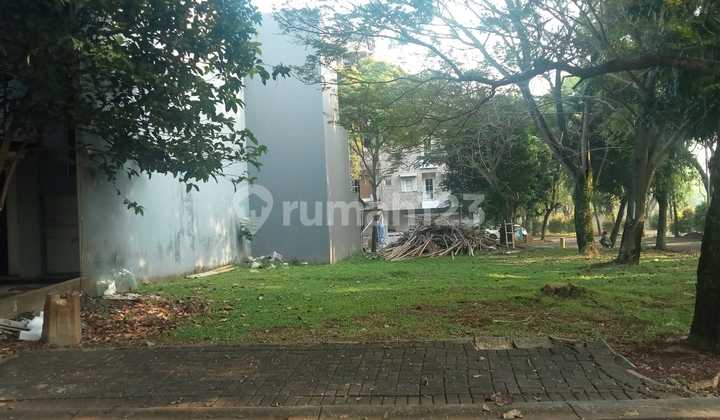 Business plot ready to build in Foresta Business plot ready to build in Foresta