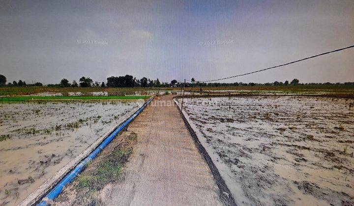 Lahan Sawah di Sukawangi, Kab. Bekasi 2