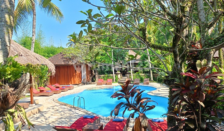 Eksklusif Ubud Cottage Dijual di Nyuh Kuning, Gianyar