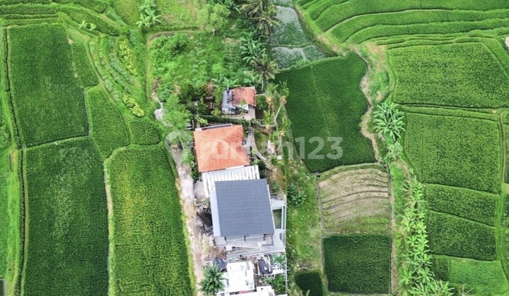 Rice Field View Villa in Abiansemal 2