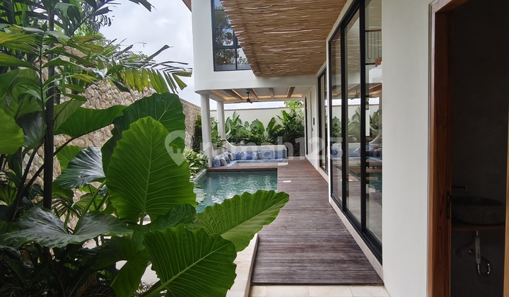 Casa del Norte, Ungasan