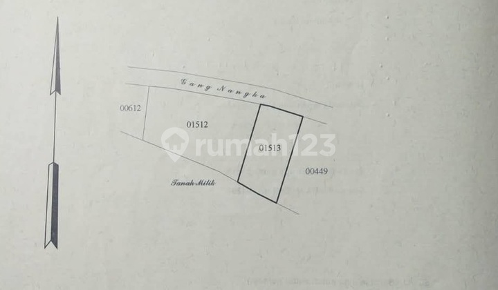 Lahan Ideal 4,9 Are Siap Bangun di Kerobokan
