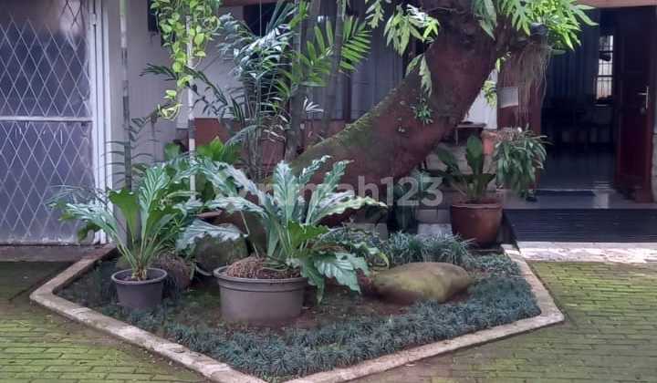 Harga Special !! Rumah Asri di Wijaya Kusuma Cilandak, Jakarta Selatan 2