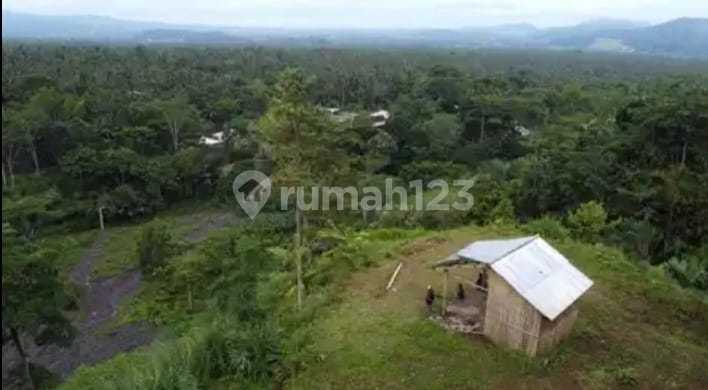 Tanah Dijual Cepat Murah Lokasi di Atas Bukit Karangasem Bali Tanah Dijual Cepat Murah Lokasi di Atas Bukit Karangasem Bali