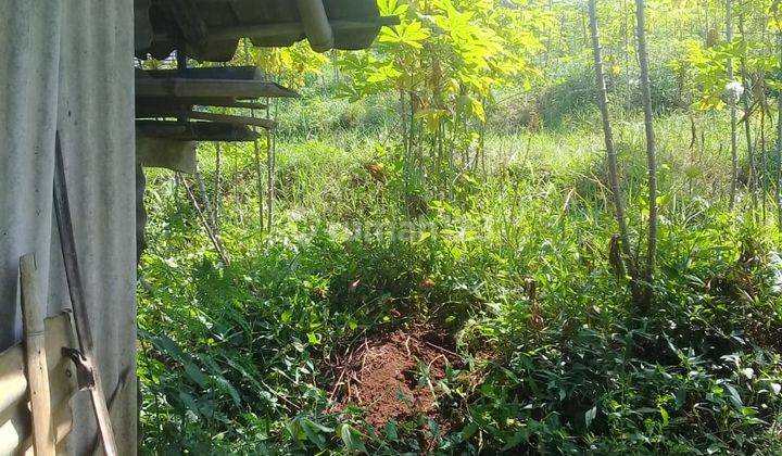 Tanah Murah Daerah Jatihandap Bawah Dan Jatihandp Utama 3