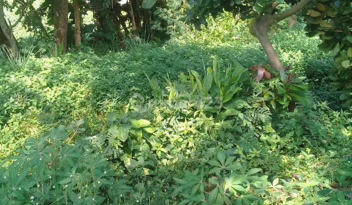 Tanah Murah Daerah Jatihandap Bawah Dan Jatihandp Utama 6