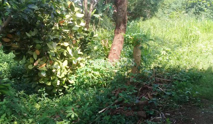 Tanah Murah Daerah Jatihandap Bawah Dan Jatihandp Utama 8