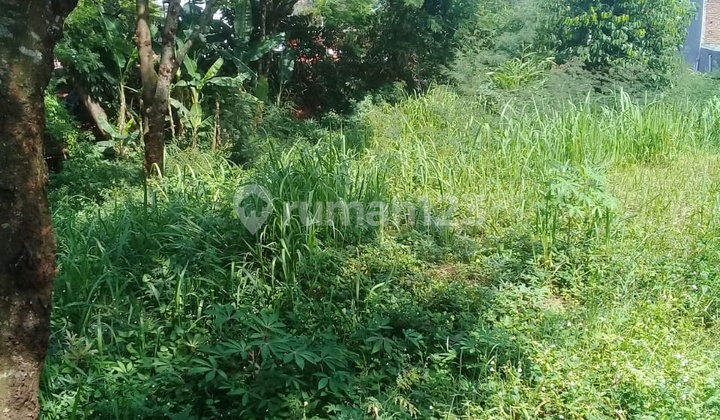 Tanah Murah Daerah Jatihandap Bawah Dan Jatihandp Utama 12