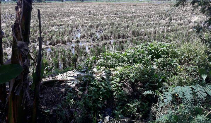 Tanah Pinggir Jalan Strategis Dikelilingi Cluster Perumahan Besar 1