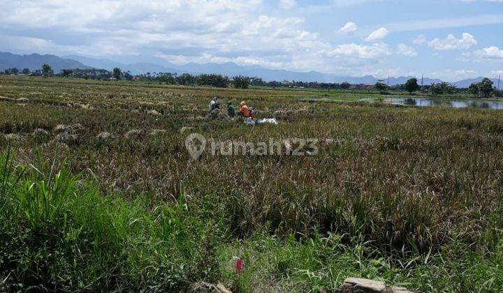 Tanah Pinggir Jalan Strategis Dikelilingi Cluster Perumahan Besar 2