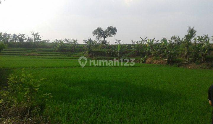 Tanah Sawah Daerah Sinargalih Bumi Mas 1