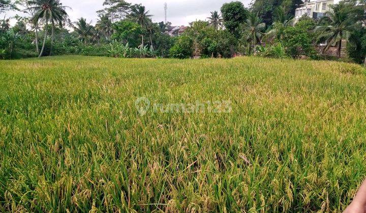 Tanah Sawah Daerah Sinargalih Bumi Mas 2