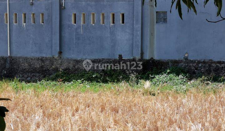 Tanah Luas Dan Murah Cirebon 1
