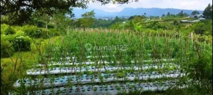 Tanah Strategis di Lembang Dekat Pusat Hiburan, Kab Bandung Barat 2