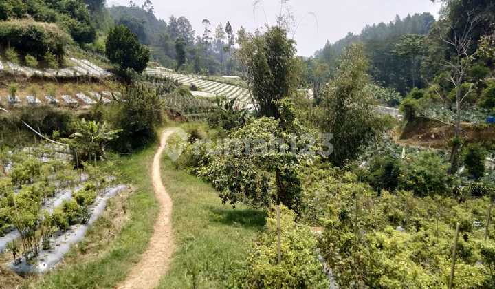 Tanah Strategis di Maribaya Lembang Tanah Strategis di Maribaya Lembang