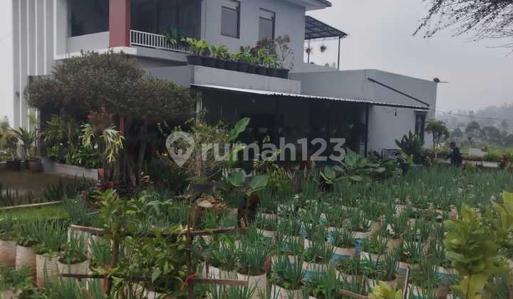 Villa Nyaman dan Strategis di Ciwidey Villa Nyaman dan Strategis di Ciwidey