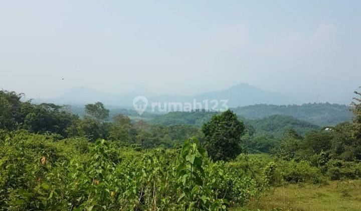 Tanah Kavling Bogor dengan Sumber Mata Air, hanya 8 menit dari Jalan Raya Transyogi, Dekat Tempat Wisata Legok Jamboe,Gunung Batu , Villa Kahyangan 2