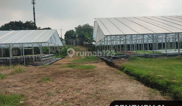 Tanah Luas Di Daerah Jampang Bogor Jawa Barat 1