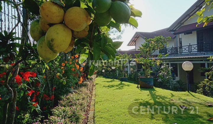 Villa 2 Lantai Siap Huni Di Cipanas Bogor 2